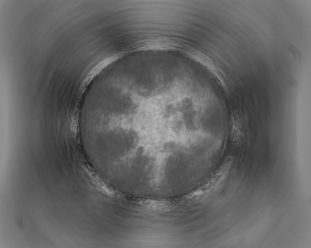 X0000112170874200908211424