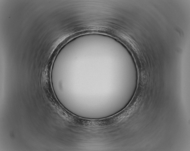 X0000112170875200908211424