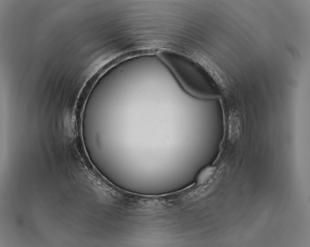 X0000112170876200908211424