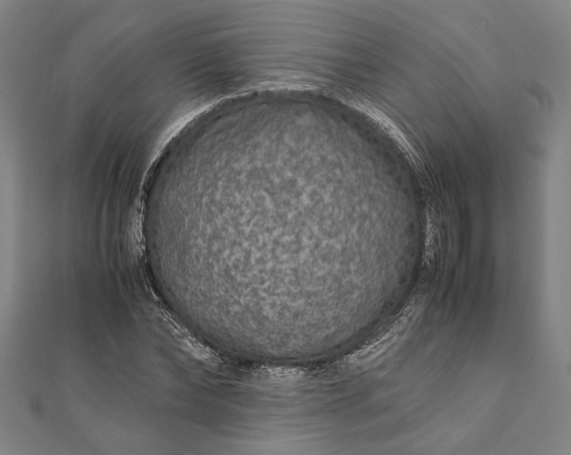 X0000112170878200908211424