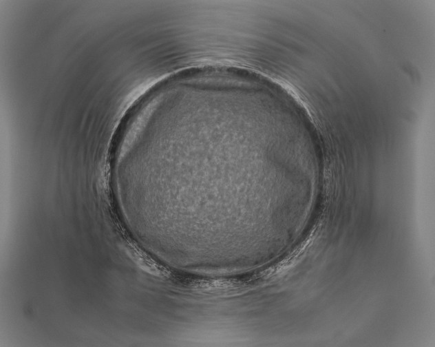 X0000112170879200908211424