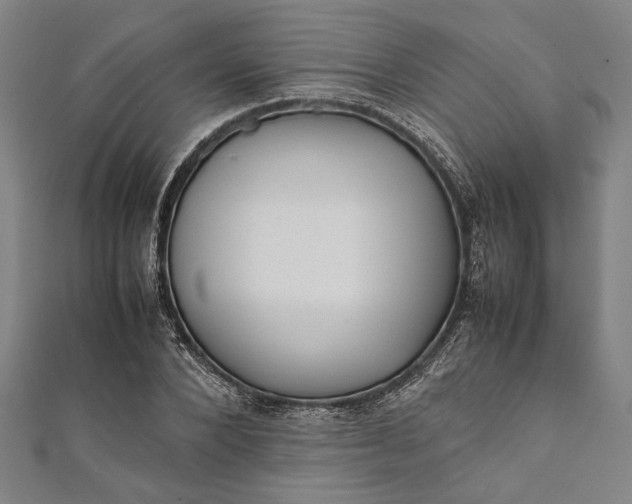 X0000112170880200908211424