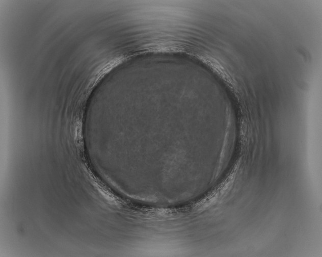 X0000112170881200908211424