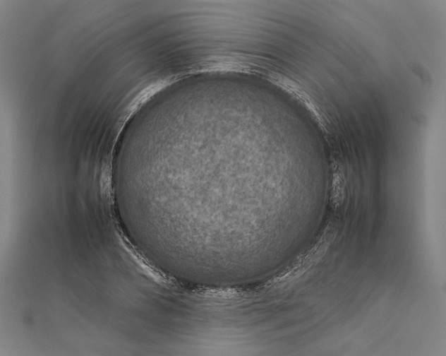 X0000112170882200908211424