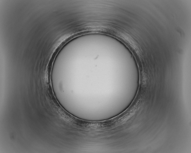 X0000112170883200908211424