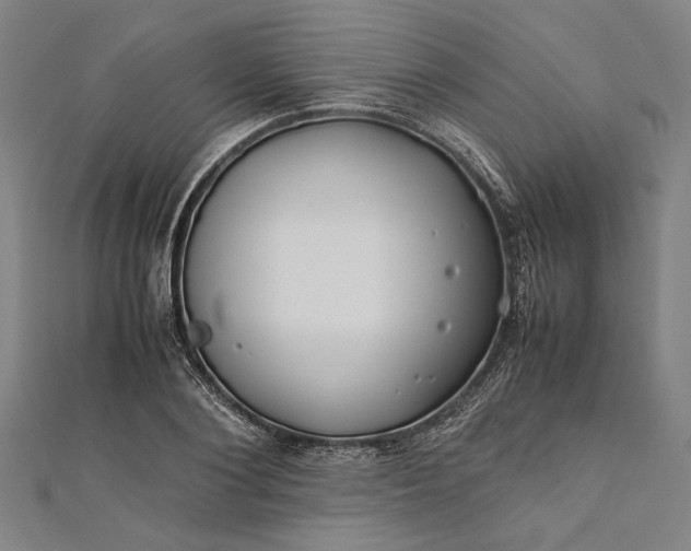 X0000112170884200908211424