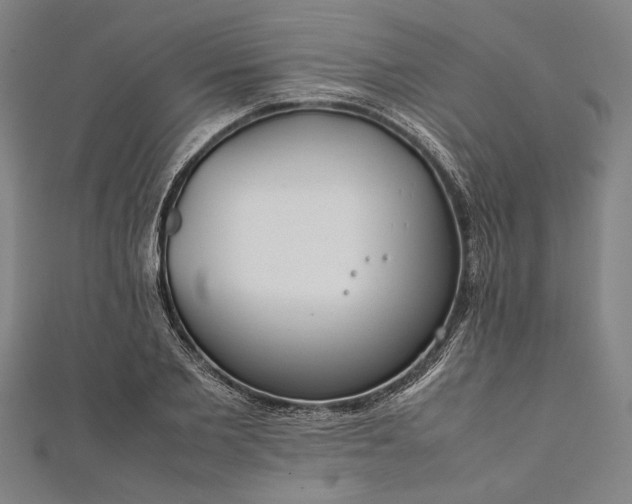 X0000112170885200908211424