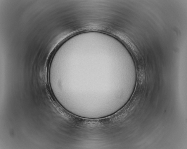 X0000112170886200908211424