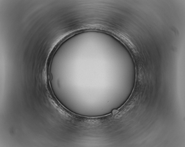 X0000112170888200908211424