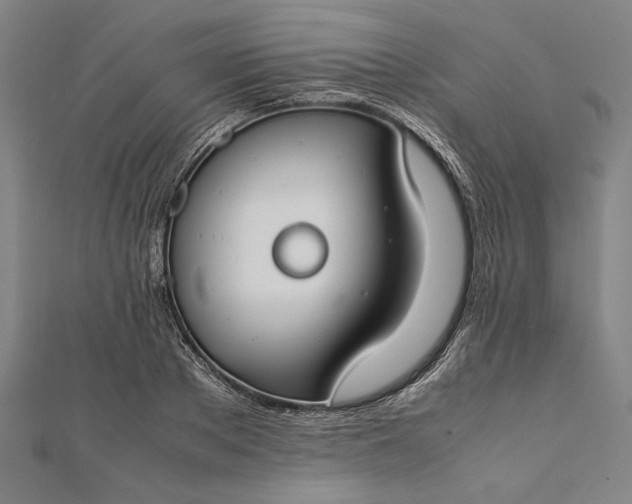 X0000112170889200908211424