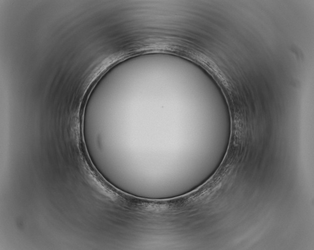 X0000112170890200908211424