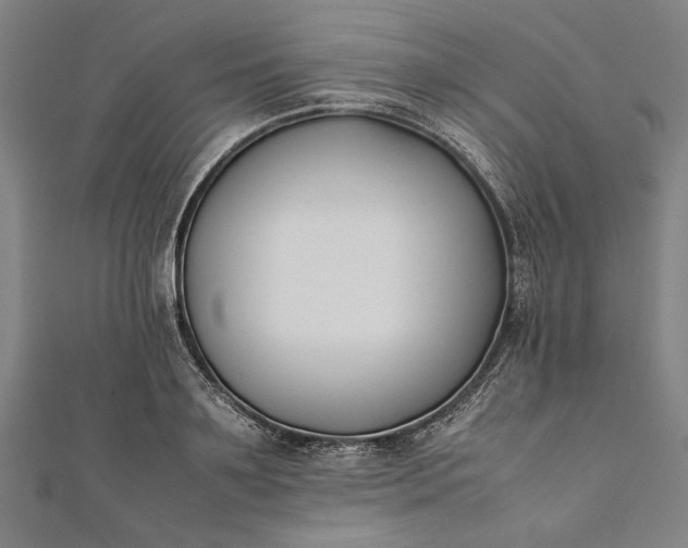 X0000112170891200908211424