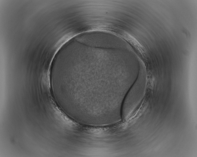 X0000112170892200908211424