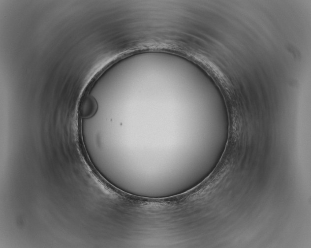 X0000112170894200908211424