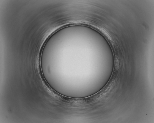 X0000112170895200908211424