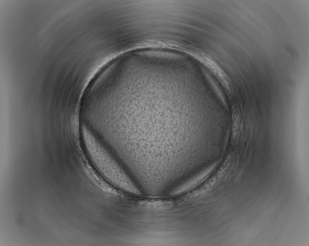 X0000112170896200908211424