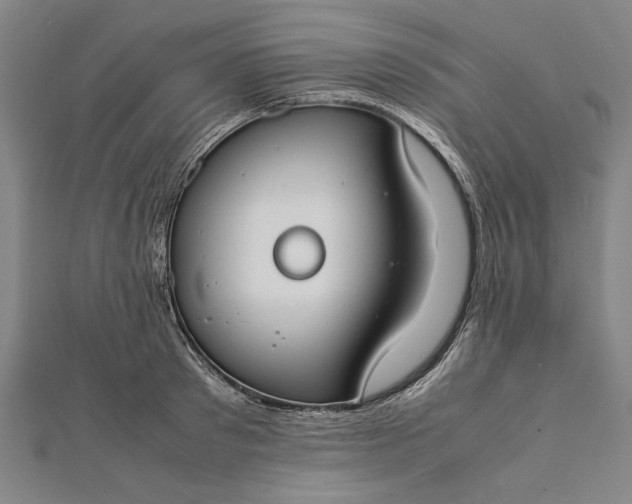 X0000112170897200908211424