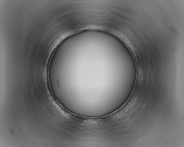 X0000112170898200908211424