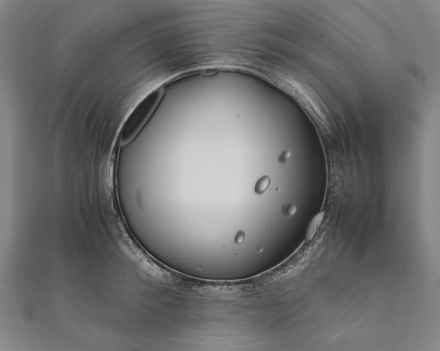 X0000112170900200908211424