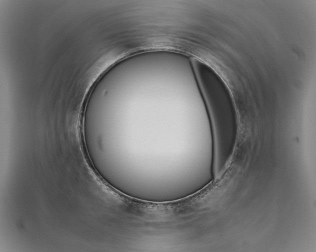 X0000112170901200908211424