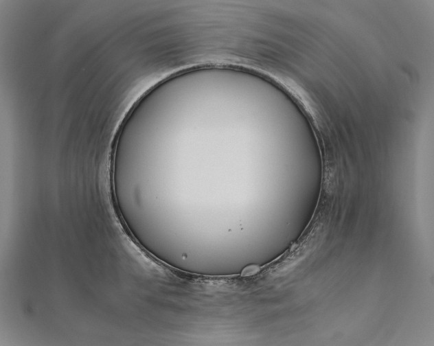 X0000112170903200908211423