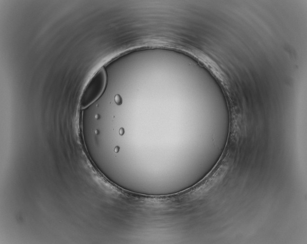 X0000112170904200908211423