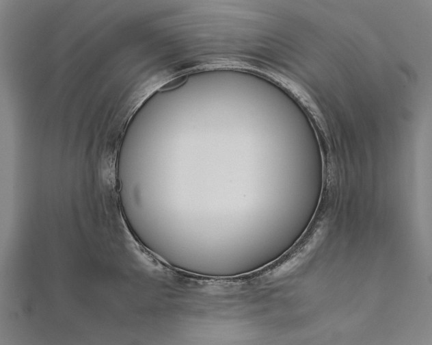 X0000112170905200908211423