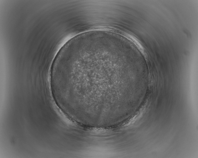 X0000112170907200908211423