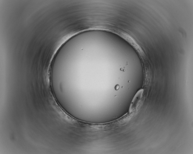 X0000112170908200908211423