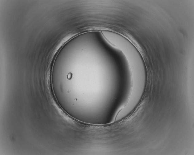 X0000112170909200908211423