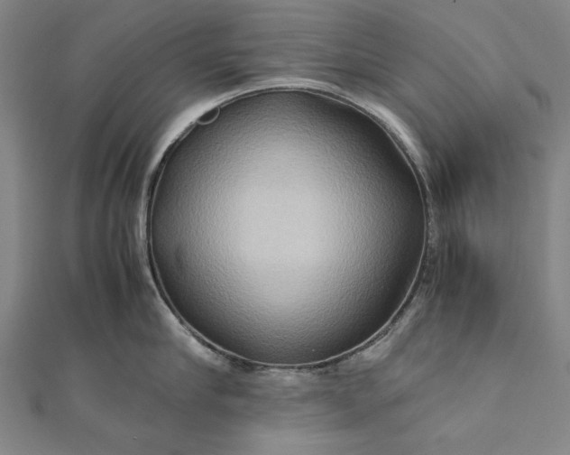 X0000112170910200908211423