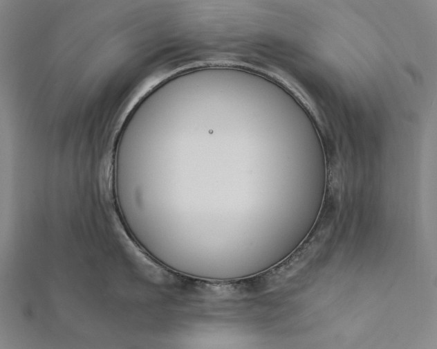 X0000112170911200908211423