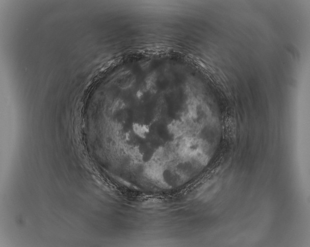 X0000112170913200908211423