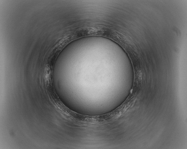 X0000112170914200908211423