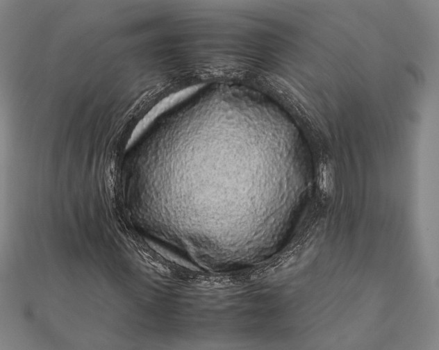 X0000112170915200908211423