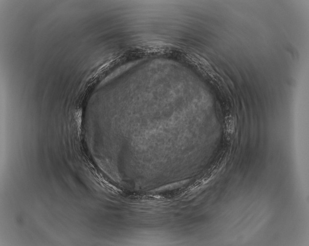 X0000112170916200908211423