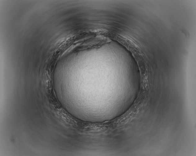 X0000112170917200908211423