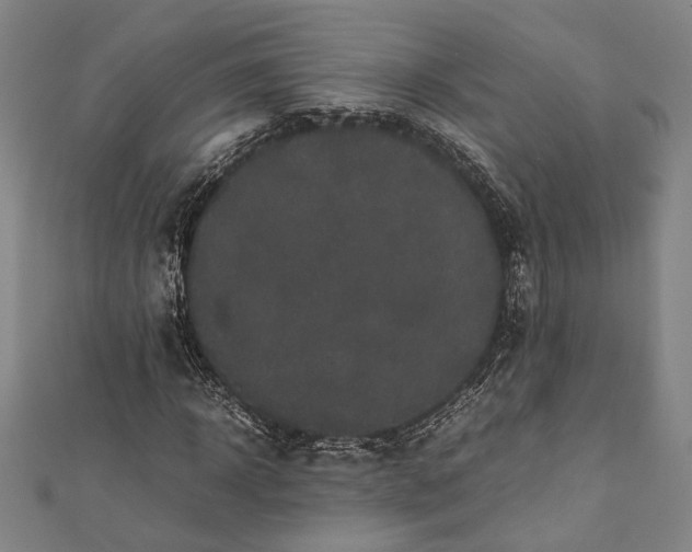 X0000112170918200908211423