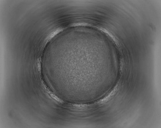 X0000112170921200908211423