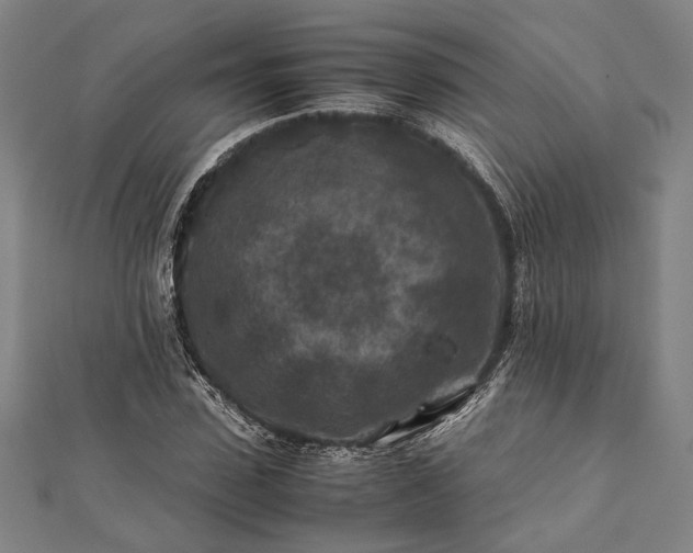 X0000112170923200908211423