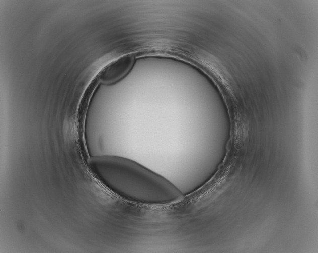 X0000112170924200908211423