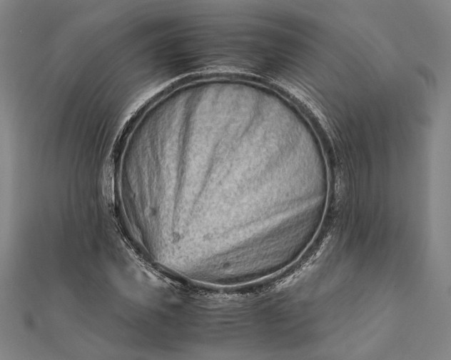 X0000112170925200908211423