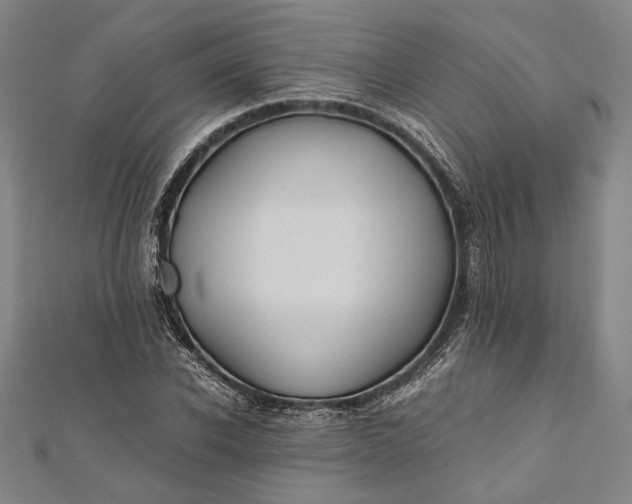 X0000112170926200908211423