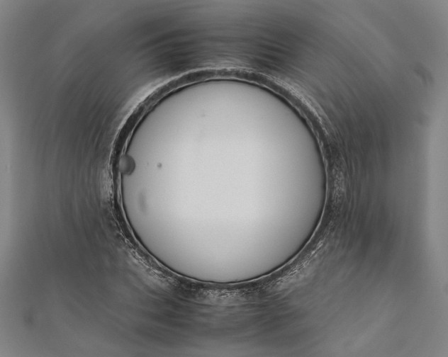 X0000112170927200908211423