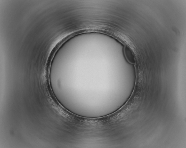 X0000112170928200908211423