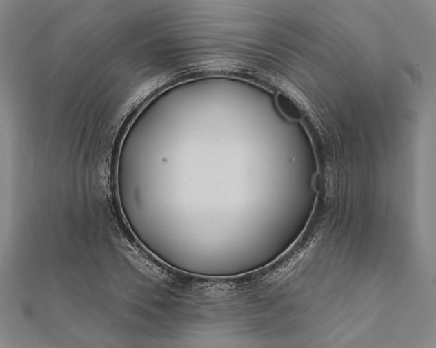 X0000112170930200908211423