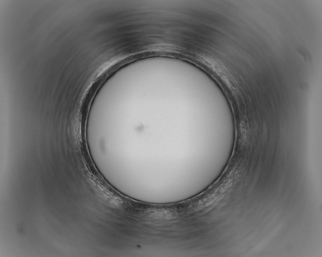 X0000112170931200908211423