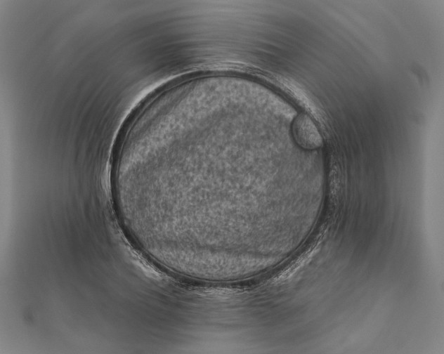 X0000112170932200908211423