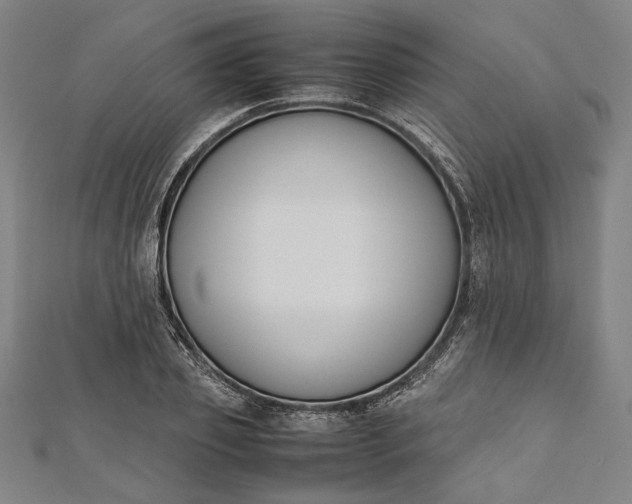 X0000112170933200908211423