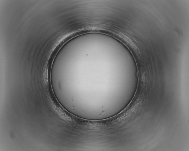 X0000112170934200908211423